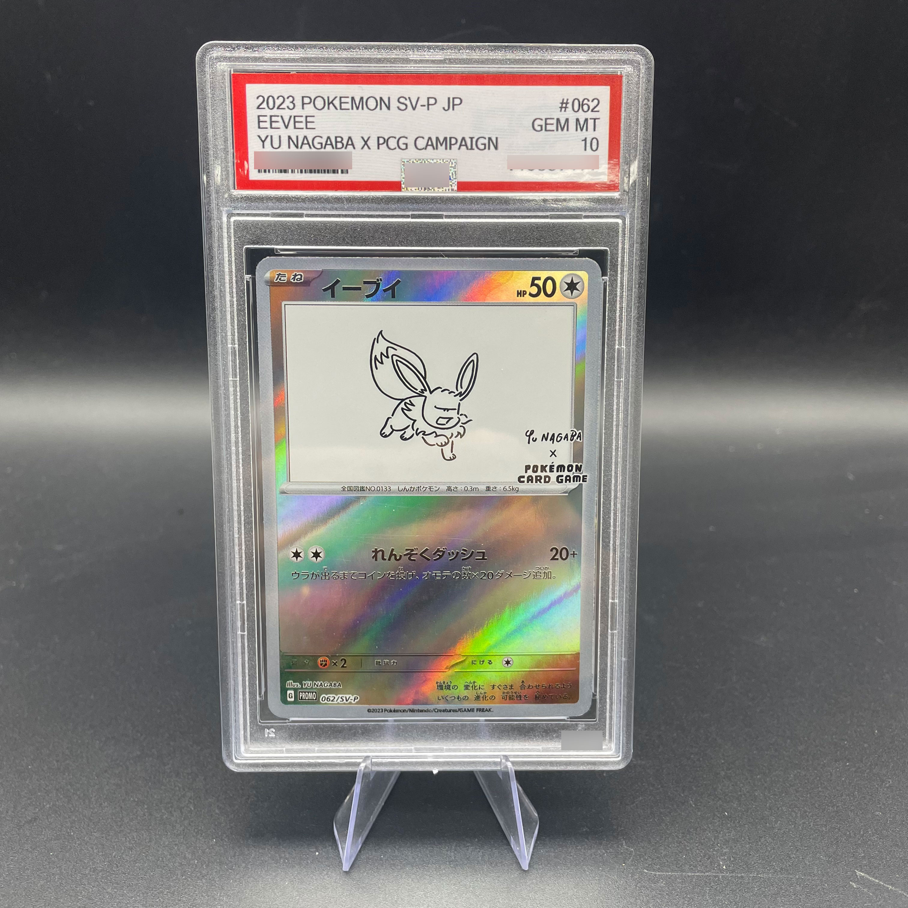 Model Kit Accessories - DIY Anime 2023 PTCG SV-P Japanese