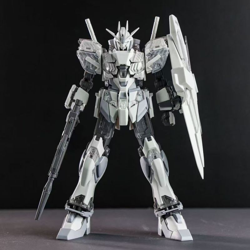Model Kit Gundam Mg - HG1/144 Narrative C Coating Action Figures